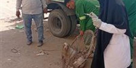 محافظ الدقهلية يتابع جهود الطب البيطري والجهات المعنية في حملات مواجهة الكلاب الضالة بمركز ومدينة شربين