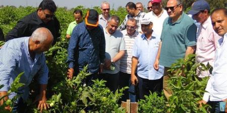 وزير الزراعة الأسبق لـ «فيتو»: لولا نشاط الباحثين الزراعيين ما كناش لقينا ناكل