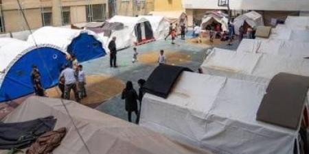 الأمم المتحدة: الحرب تهدد الإمدادات الغذائية في لبنان وتضر 22% من الأراضي الزراعية