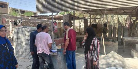 "العمل" تنفذ حملات تفتيشية على منشآت المنطقة الصناعية بالوادي الجديد