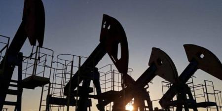 خبير اقتصادي: اضطراب الملاحة عبر هرمز يهدد بزيادة الضغوط على اقتصاديات النفط بالمنطقة