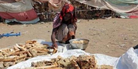 الأغذية العالمي يحذر من انعدام الأمن الغذائي الحاد في اليمن جراء الصراع