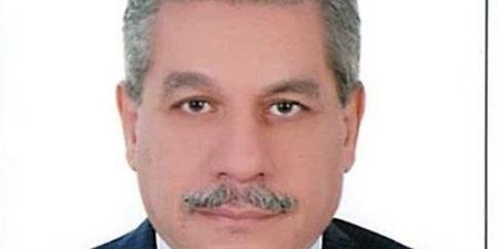 الدكتور أمين لطفي يكتب: التمكين المؤسسي للقطاع الخاص في الجمهورية الجديدة.. الداء والدواء