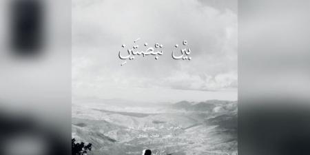 في ديوان «بين نبضتين»… الشعر والصورة واحتمالات التأويل