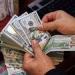 إصلاحات النقد الأجنبي تُعيد الثقة.. تحويلات المصريين بالخارج تقفز لأعلى مستوى