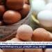 اسعار كرتونه البيض اليوم الخميس 25ديسمبر 2025 فى المنيا