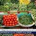 اسعار الخضروات اليوم الثلاثاء 30ديسمبر 2025 فى المنيا