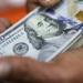 سعر الدولار اليوم الأحد 5 أبريل 2026: استقرار نسبي في البنوك المصرية