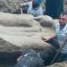 مصدر بالآثار يكشف التفاصيل الأولية عن التمثال المعثور عليه بالشرقية (خاص)