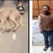 خوفا من مرضه.. القبض على شقيقين تعديا على كلب حتى نفوقه بالشرقية