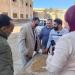 بدء موسم توريد القمح في دمياط (صور)