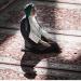 موعد صلاة الظهر اليوم في الوادي الجديد