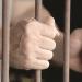 حبس عصابة استولت على مليون و400 ألف جنيه من سوداني بالهرم