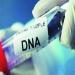 البصمة الوراثية.. مشروع قانون الأسرة يمنح الـDNA دورًا حاسمًا