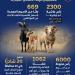 استعدادات مكثفة لوزارة التموين خلال عيد الأضحى لتوفير السلع الغذائية واللحوم