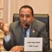 النائب محمد شعيب: التجارة الالكترونية غير الرسمية تضر الصناعة الوطنية والتجار الملتزمين