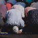 مواقيت الصلاة اليوم الخميس 28 مايو 2026 في محافظات مصر.. موعد الفجر والمغرب والعشاء