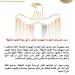 مصر تدين الهجمات المتكررة على الكويت: تصعيد خطير يهدد استقرار منطقة الخليج العربي