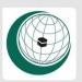 الأمانة العامة لمنظمة التعاون الإسلامي تدين العدوان الإسرائيلي على لبنان