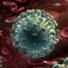 تاج الدين: إجراءات احترازية في المطارات والمنافذ لمتابعة الأوضاع الصحية