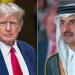 الديوان الأميري: أمير قطر وترامب استعرضا نتائج المشاورات الأمريكية–الإيرانية
