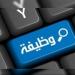 قدم الآن.. 4504 وظيفة جديدة متاحة للشباب في 14 محافظة خلال يونيو 2026