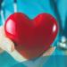 من النبض إلى أدق الأشعة.. فحوصات القلب خطوة بخطوة