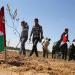عمرو الورداني: مصر ترفض محاولات التهجير والتصفية وتدعم حقوق الشعب الفلسطيني
