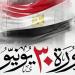 عادل الجوهري: ثورة 30 يونيو أعادت بناء مصر.. والرئيس السيسي انحاز للوطن