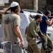 مستوطنون يواصلون اعتداءاتهم على الفلسطينيين وممتلكاتهم فى الضفة الغربية