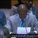 الحارث إدريس يدافع عن موقف السودان أمام مجلس الأمن.. ويرفض مساواة الجيش بالميليشيا