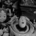 قبل Toy Story بقرون.. كيف بدأت حكايات الأشياء فى الأدب البريطانى؟