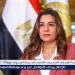وزيرة التنمية المحلية تتابع نتائج حملات لجنة المحال العامة بأحياء الجيزة