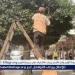 الإسماعيلية تواصل أعمال التطوير والتجميل استعدادًا للمهرجان الدولي للفنون الشعبية