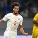 المغرب ضد مالي.. الزلزولي يتقدم للأسود في الشوط الأول (فيديو)
