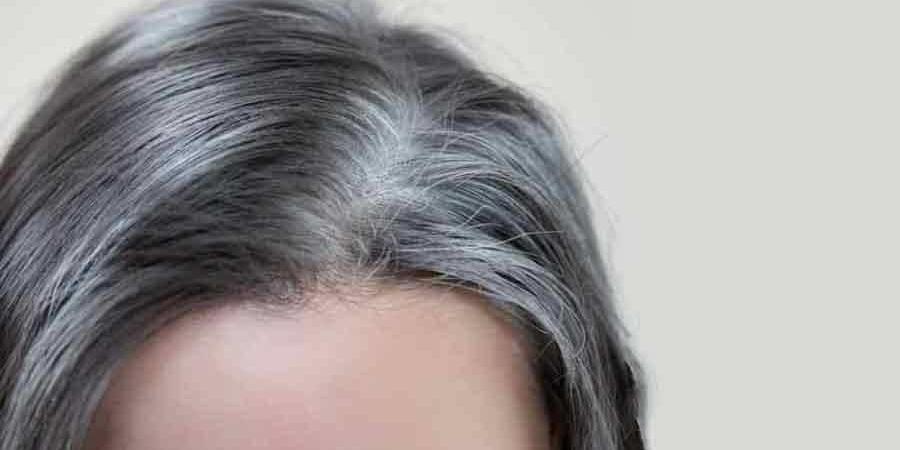 لمنع شيب الشعر.. أطعمة غنية بالعناصر الغذائية للحفاظ على لون الشعر وتأخر ظهور الشعر الأبيض