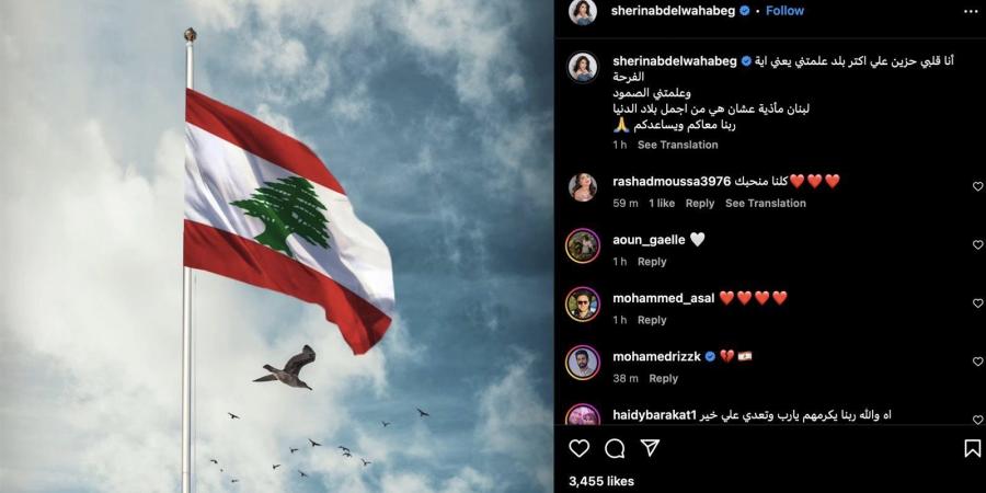 شيرين عبدالوهاب تعرب عن حزنها على لبنان : "أجمل بلاد الدنيا"