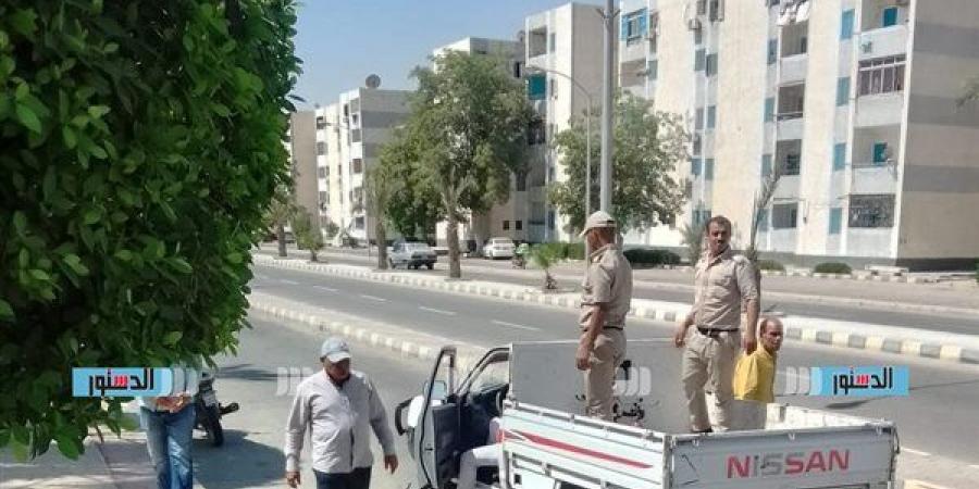 جهاز بنى سويف الجديدة يحرر 37 محضرا لغلق وتشميع محلات مخالفة