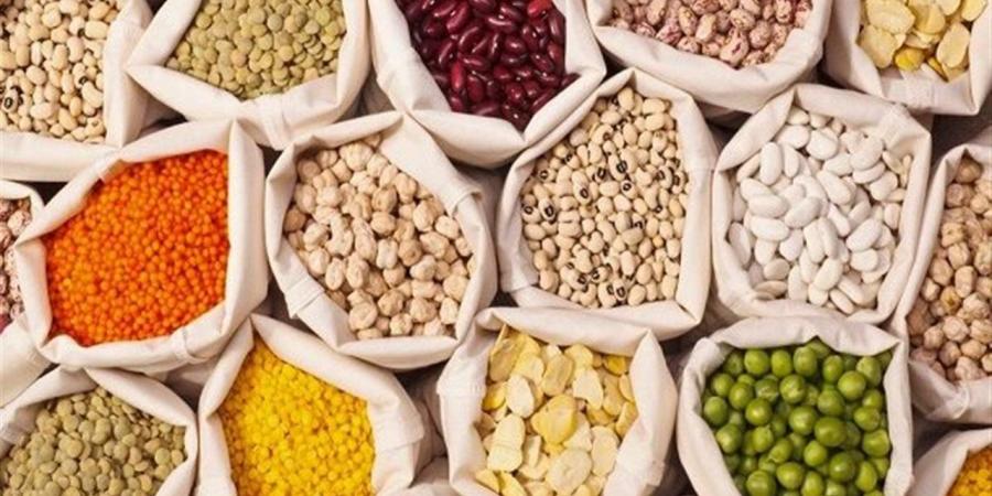 أسعار البقوليات بمحافظة الغربية اليوم الثلاثاء 14 أكتوبر 2025
