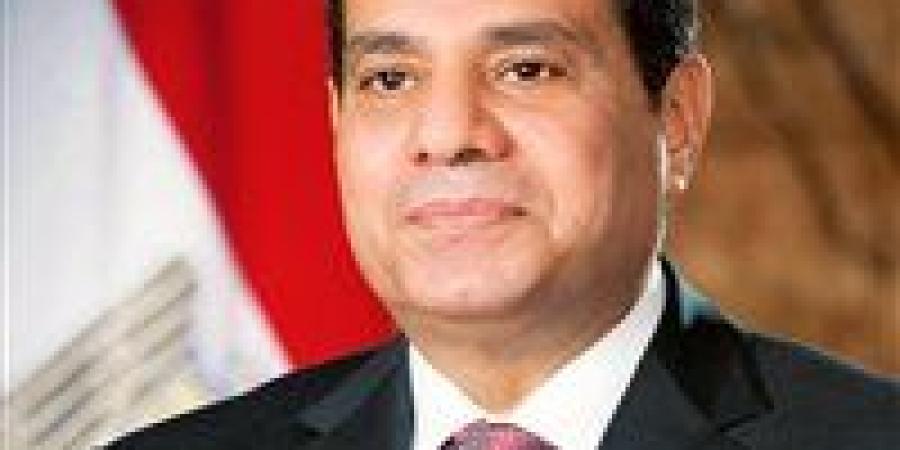 الرئيس السيسي يصل إلى بروكسل للمشاركة في القمة المصرية الأوروبية الأولى