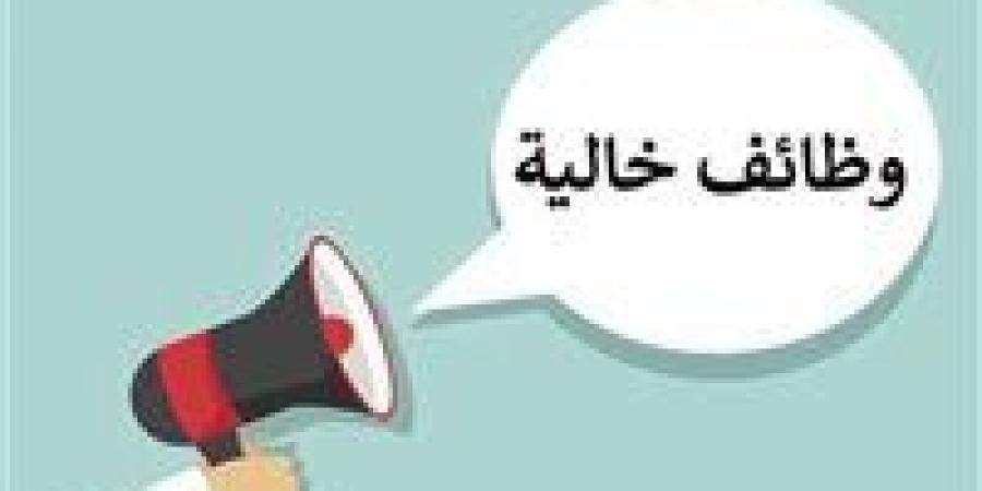 285 فرصة عمل جديدة بشركة «إس آي وايرنج سيستمز إيچبت» بالسويس.. شروط التقديم