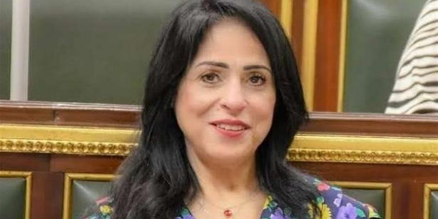 النائبة ميرال الهريدي: المرحلة الراهنة تتطلب إرادة دولية صادقة لإنجاح مخرجات شرم الشيخ