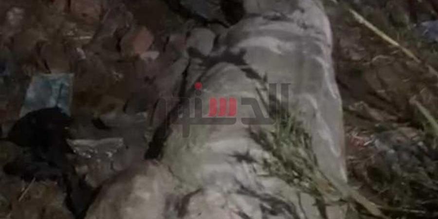 العثور على حمار مذبوح و3 أحياء في السنطة.. ومباحث التموين تضبط المتهم