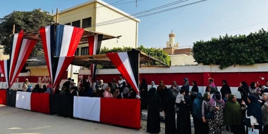 استمرار الإقبال أمام لجان بندر ومركز الفيوم في انتخابات مجلس النواب 2025