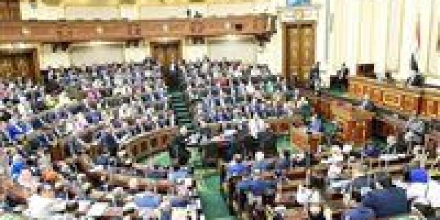 عضو "تشريعية النواب": قانون الإجراءات الجنائية الجديد يعزز ثقة المجتمعين الداخلي والدولي في التوجه الحقوقي للدولة المصرية