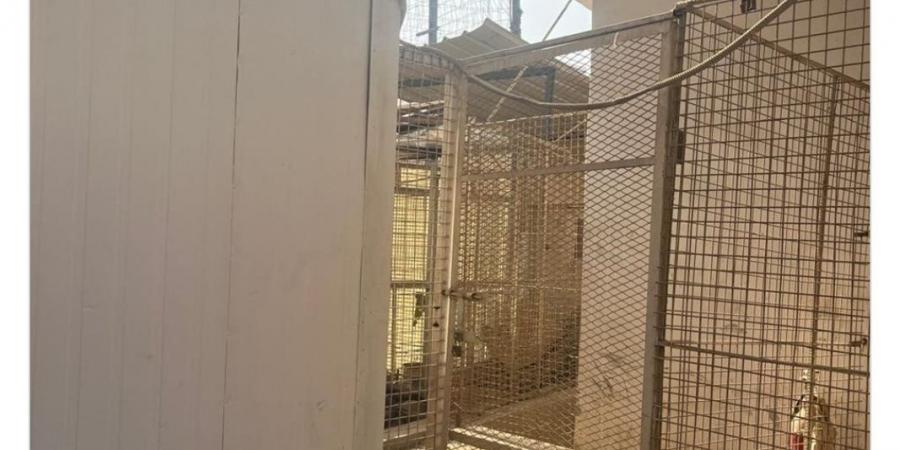 "غرفة الرعب".. تفاصيل الاعتداء الجنسى على 6 أطفال بمدرسة دولية (صور)