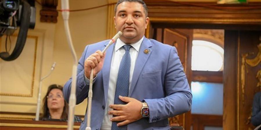 النائب محمود عصام: قرار تكساس ضد الإخوان يؤكد صواب الرؤية المصرية في مواجهة التطرف