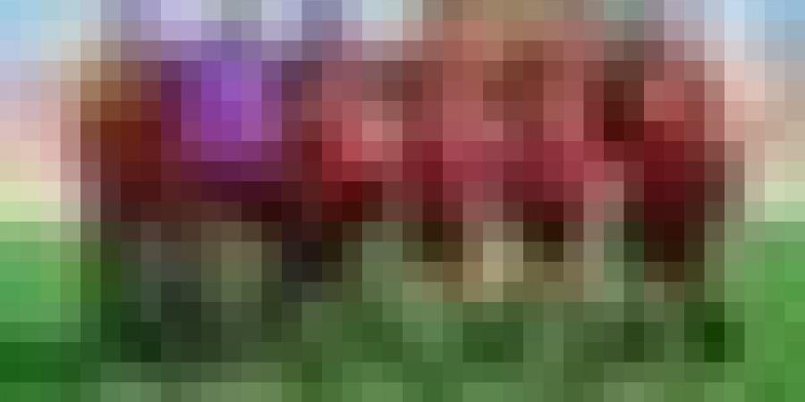 إتحاد العاصمة يجتاز سان بيدرو الإيفواري بثلاثية مقابل هدفين