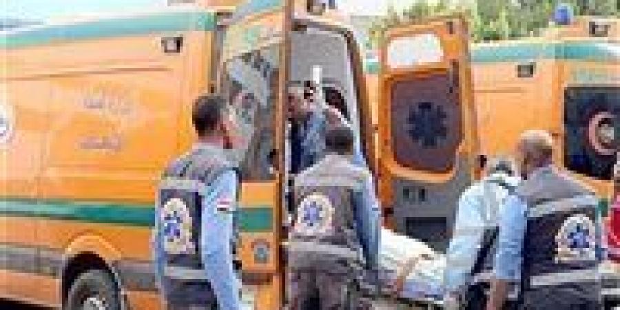 مصرع وإصابة 4 أشخاص في حادث سير على طريق القاهرة - الفيوم الصحراوي