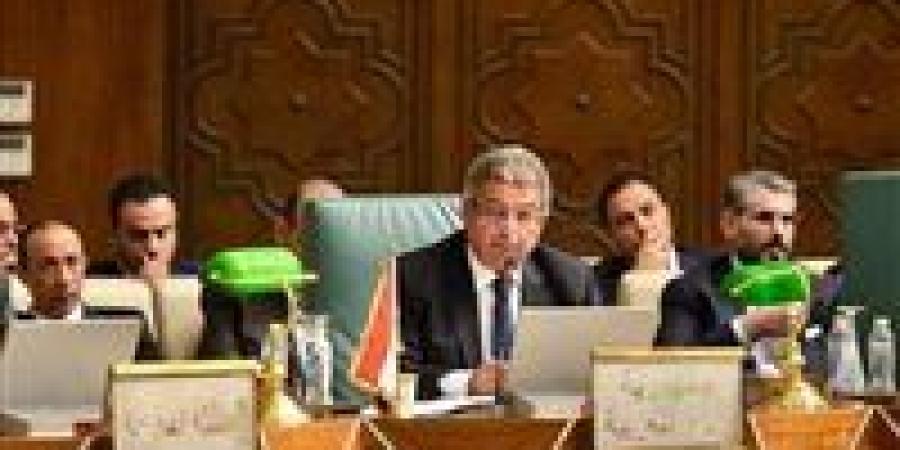 رئيس الأعلى للإعلام: فلسطين قضيتنا المركزية.. وتنسيق الإعلام العربي لم يعد خيارًا بل ضرورة